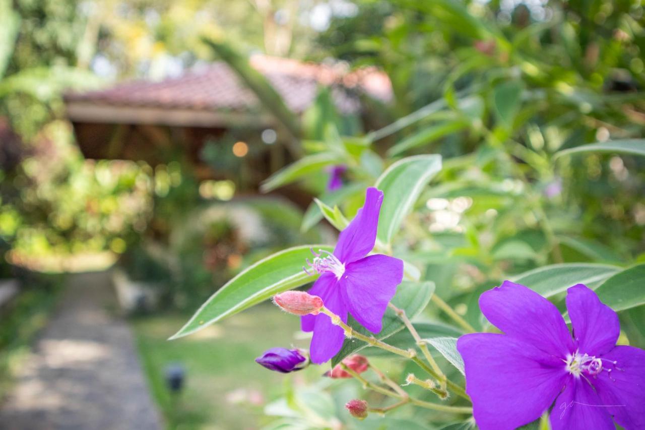 Hotel Casa Merlin Puerto Viejo de Talamanca Ngoại thất bức ảnh