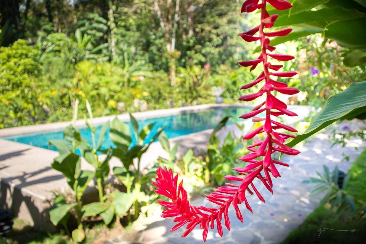 Hotel Casa Merlin Puerto Viejo de Talamanca Ngoại thất bức ảnh