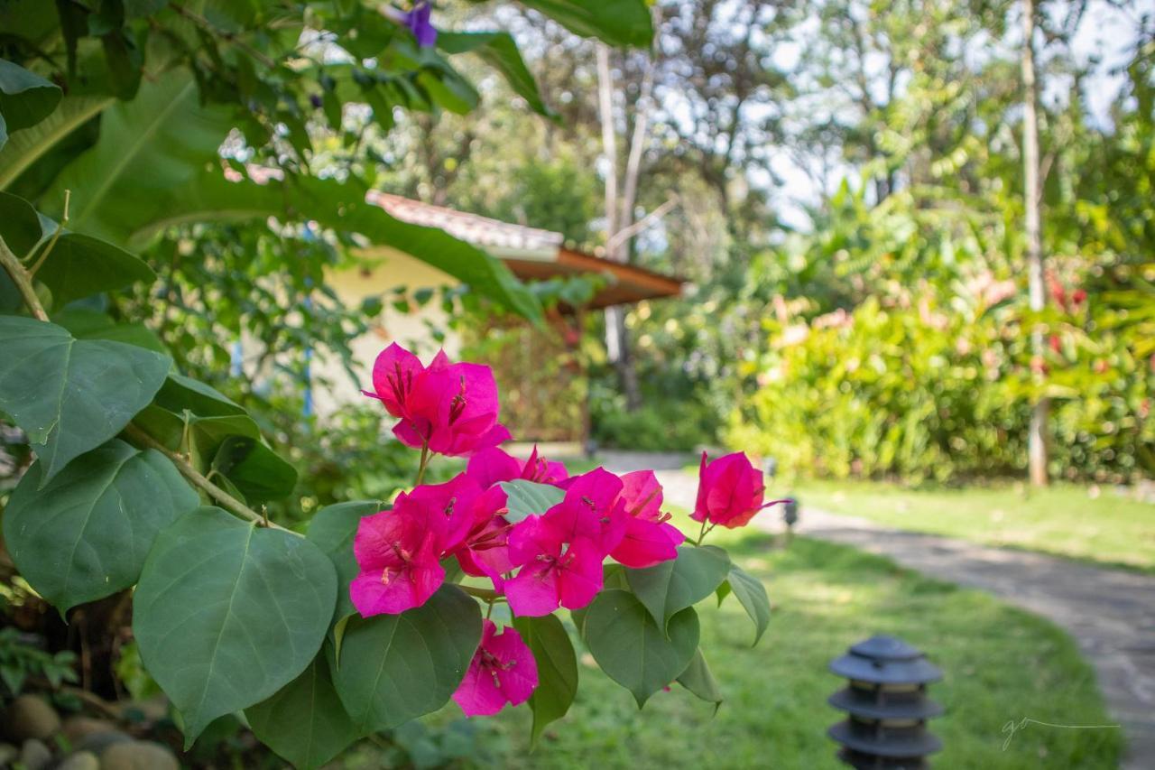 Hotel Casa Merlin Puerto Viejo de Talamanca Ngoại thất bức ảnh