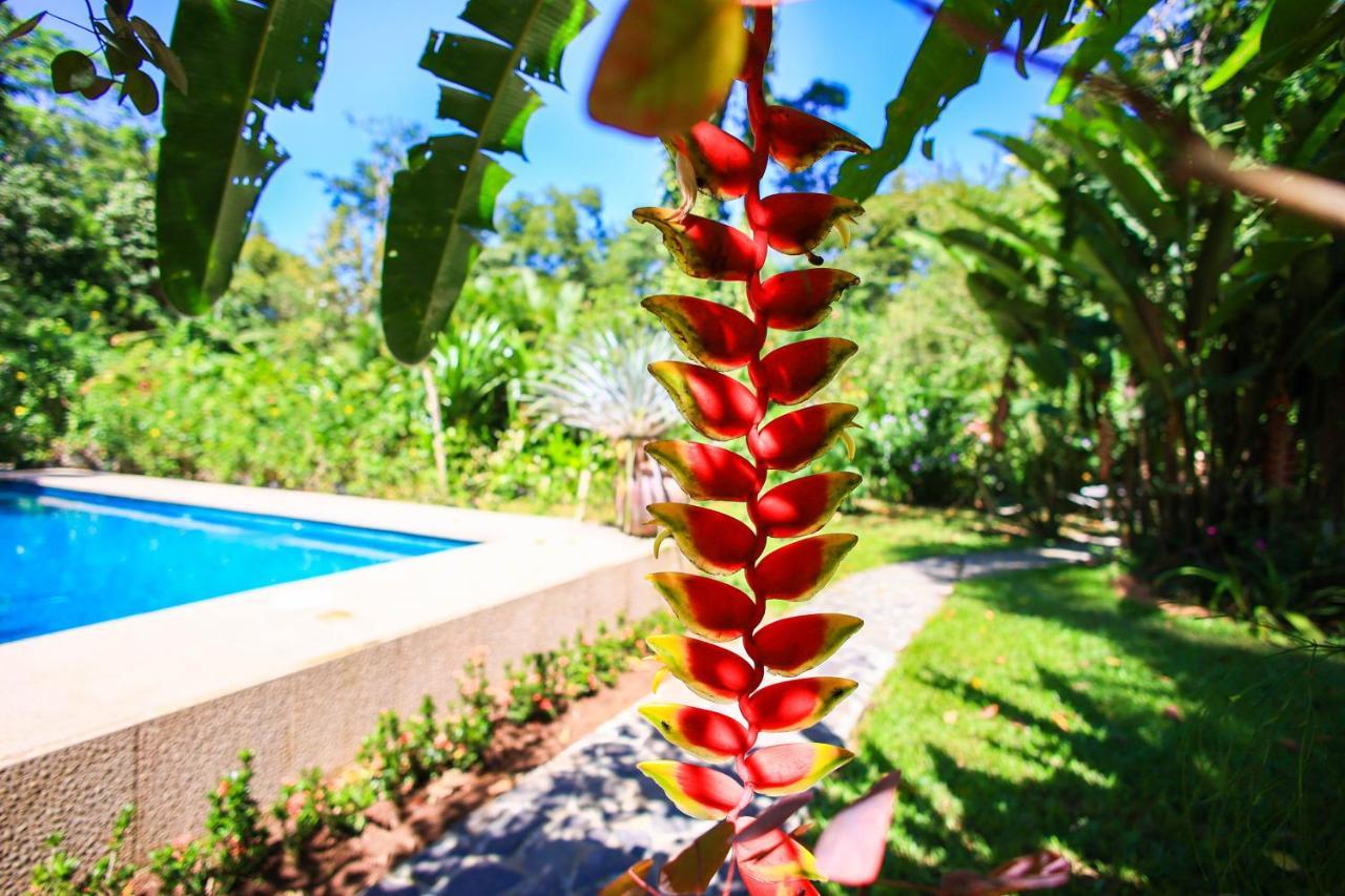 Hotel Casa Merlin Puerto Viejo de Talamanca Ngoại thất bức ảnh