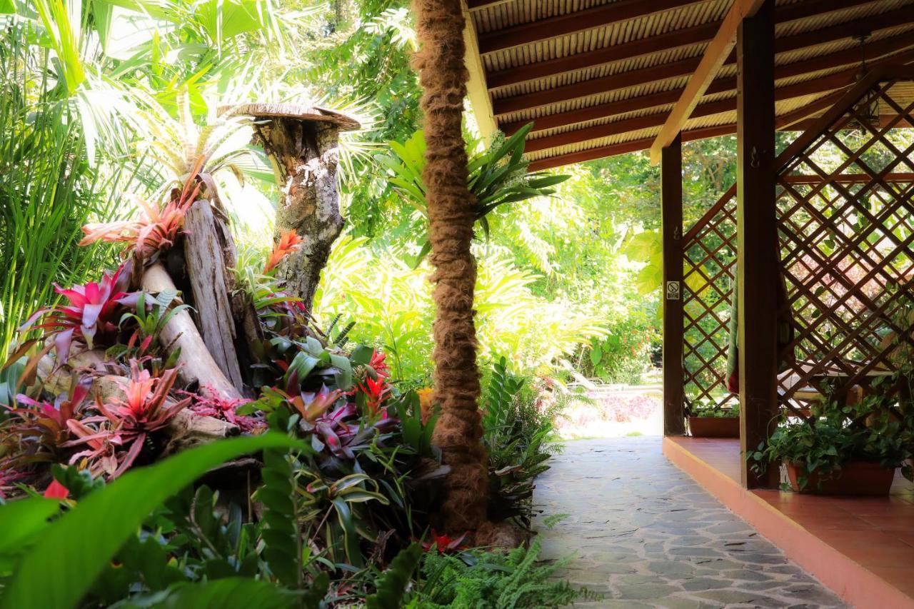 Hotel Casa Merlin Puerto Viejo de Talamanca Ngoại thất bức ảnh